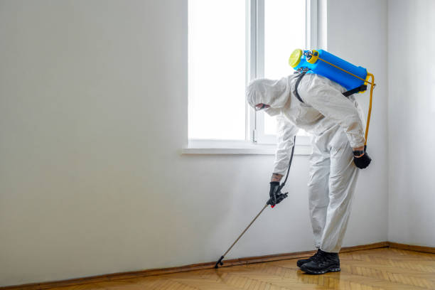 Best Termite Inspection and Treatment  in Gridley, CA